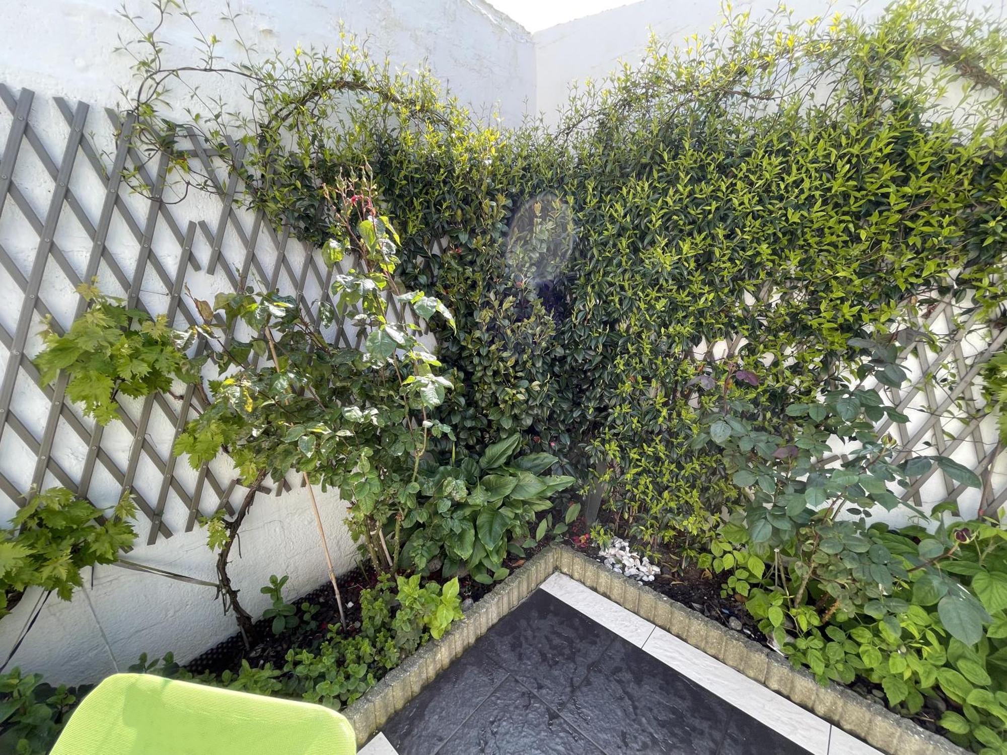 Maison 3 Chambres, Avec Terrasse Au Calme Et A 8mn A Pied ! Mers-les-Bains